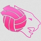 volley-club-gay-de-lyon-vcgl-logo