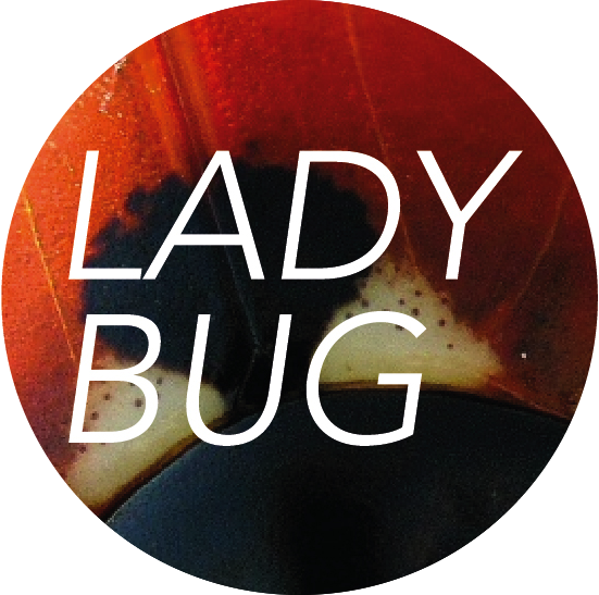 festival ladybug lyon le lavoir public mai 2014 heteroclite