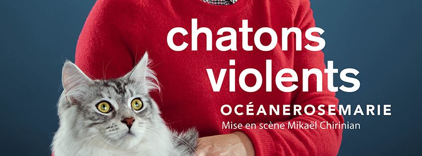 oceanerosemarie chatons violents face a face saint etienne samedi 20 novembre 2015 heteroclite