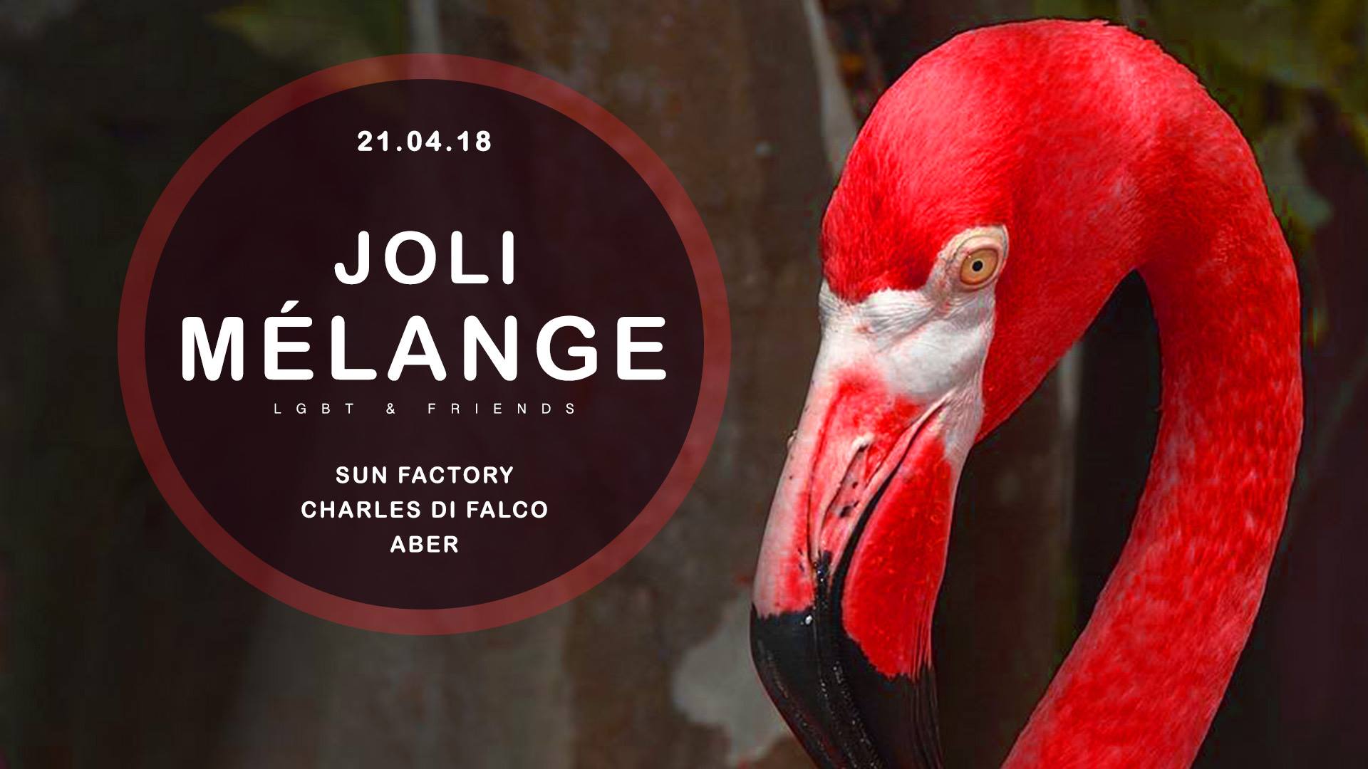 Joli mélange f2 saint-étienne sun factory charles di falco aber samedi 21 avril 2018