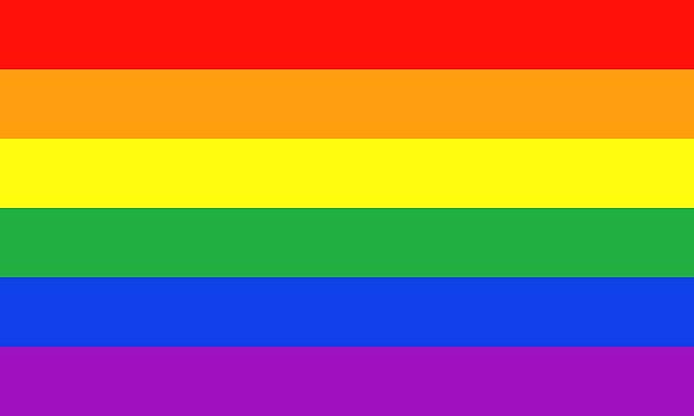 journée internationale contre l'homophobie et la transphobie saint étienne place jean jaurès 17 mai 2018 hétéroclite