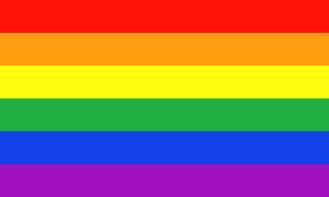 journée internationale contre l'homophobie et la transphobie saint étienne place jean jaurès 17 mai 2018 hétéroclite