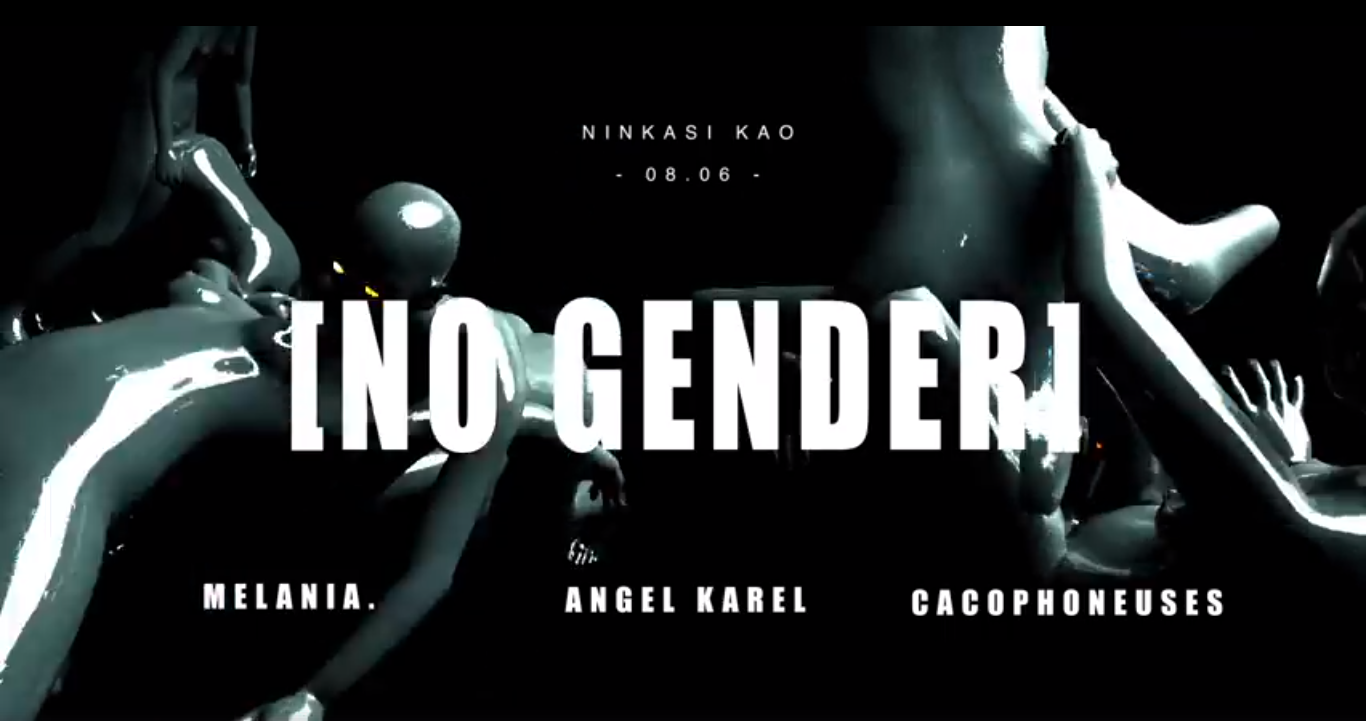 no gender ninkasi gerland soirée ven 8 juin 2018 techno hétéroclite