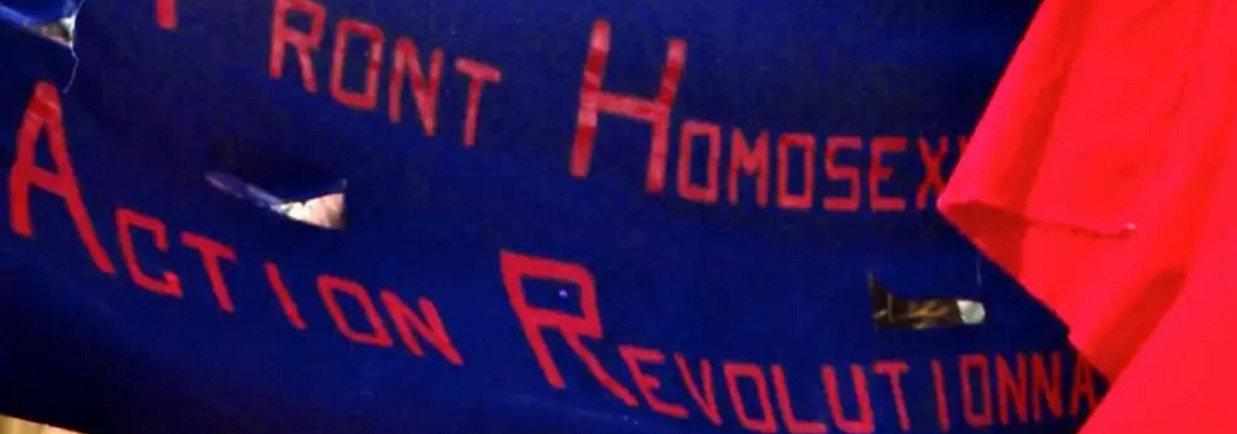 front homosexuel d'action revolutionnaire heteroclite