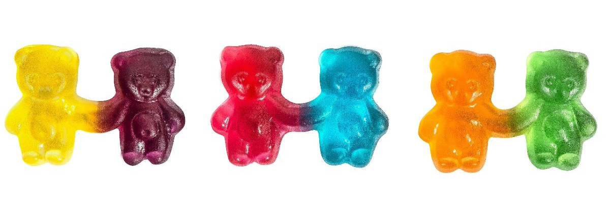 bear-election--twinours